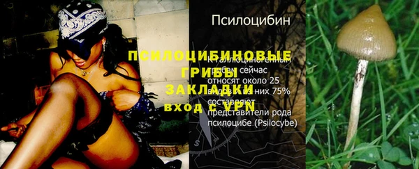 mdpv Балабаново