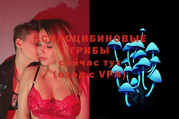 не бодяженный Арсеньев