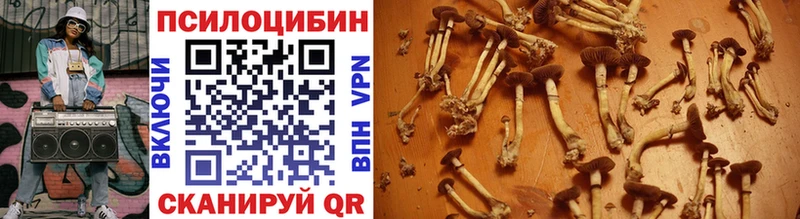 Псилоцибиновые грибы Magic Shrooms  где можно купить наркотик  Бобров 