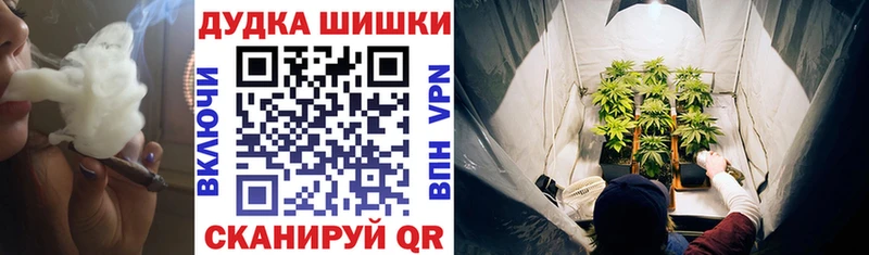 Каннабис гибрид  Бобров 